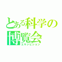 とある科学の博覧会（エキジビション）