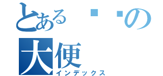 とある啊嫲の大便（インデックス）