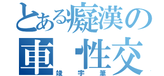 とある癡漢の車內性交（竣宇筆）