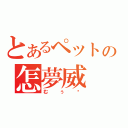 とあるペットの怎夢威（むぅ〜）