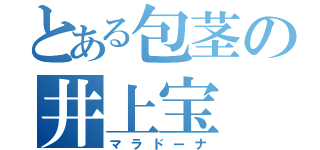 とある包茎の井上宝（マラドーナ）