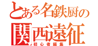 とある名鉄厨の関西遠征（初心者編集）