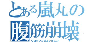 とある嵐丸の腹筋崩壊（ワロタンゴピエンピエン）