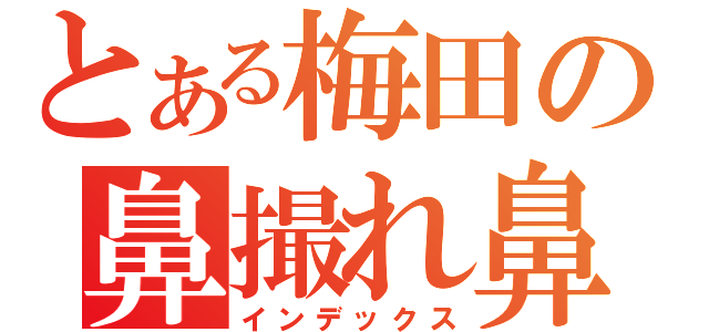 とある梅田の鼻撮れ鼻（インデックス）