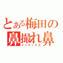 とある梅田の鼻撮れ鼻（インデックス）