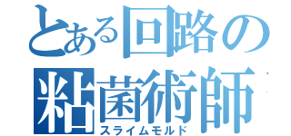 とある回路の粘菌術師（スライムモルド）