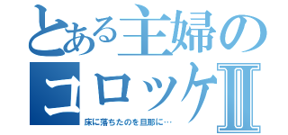 とある主婦のコロッケⅡ（床に落ちたのを旦那に…）