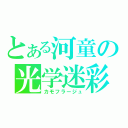 とある河童の光学迷彩（カモフラージュ）