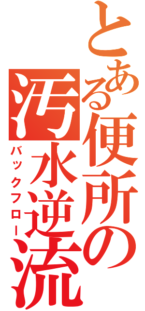 とある便所の汚水逆流（バックフロー）