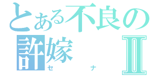 とある不良の許嫁Ⅱ（セナ）