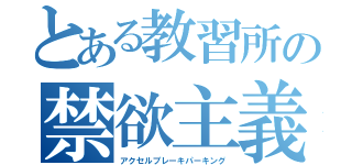 とある教習所の禁欲主義（アクセルブレーキパーキング）