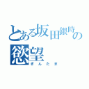 とある坂田銀時の慾望（ぎんたま）