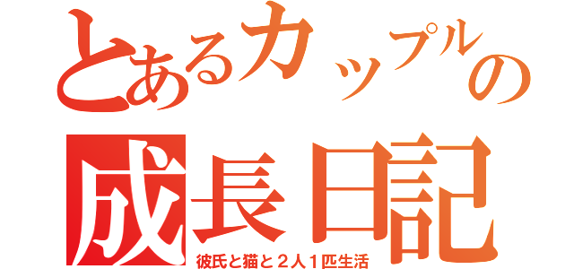 とあるカップルと子猫の成長日記（彼氏と猫と２人１匹生活）