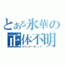 とある氷華の正体不明（カウンターストップ）