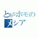 とあるホモのメシア（）