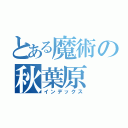 とある魔術の秋葉原（インデックス）