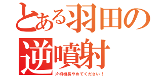 とある羽田の逆噴射（片桐機長やめてください！）