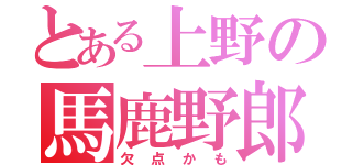 とある上野の馬鹿野郎（欠点かも）