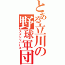 とある立川の野球軍団（スタンリバーズ）