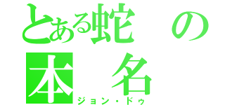 とある蛇の本　名（ジョン・ドゥ）