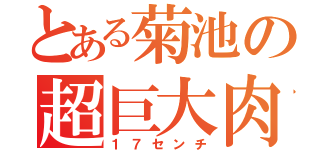 とある菊池の超巨大肉棒（１７センチ）