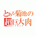 とある菊池の超巨大肉棒（１７センチ）