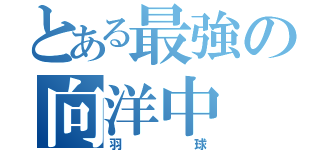 とある最強の向洋中（羽球）