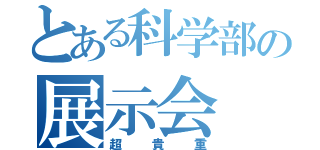 とある科学部の展示会（超貴重）