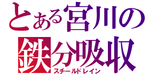 とある宮川の鉄分吸収（スチールドレイン）