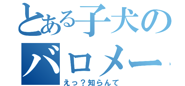 とある子犬のバロメーター（えっ？知らんて）