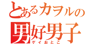 とあるカヲルの男好男子（ゲイおとこ）