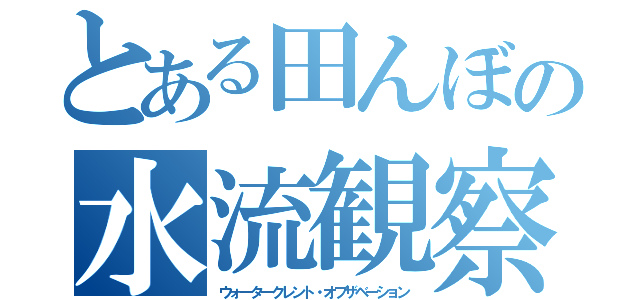 とある田んぼの水流観察（ウォータークレント・オブザベーション）
