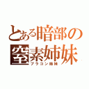 とある暗部の窒素姉妹（ブラコン姉妹）