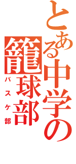 とある中学の籠球部（バスケ部）