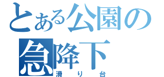 とある公園の急降下（滑り台）