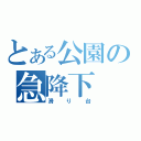 とある公園の急降下（滑り台）