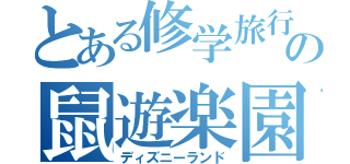 とある修学旅行の鼠遊楽園（ディズニーランド）