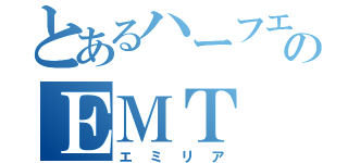 とあるハーフエルフのＥＭＴ（エミリア）