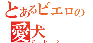 とあるピエロの愛犬（アレン）