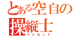 とある空自の操縦士（パイロット）