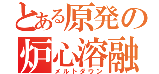 とある原発の炉心溶融（メルトダウン）