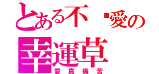 とある不懂愛の幸運草（愛真痛苦）