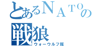 とあるＮＡＴＯの戦狼（ウォーウルフ隊）