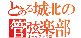 とある城北の管弦楽部（オーケストラ部）