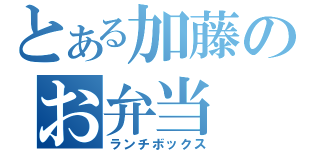 とある加藤のお弁当（ランチボックス）