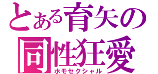 とある育矢の同性狂愛（ホモセクシャル）