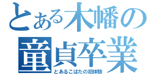 とある木幡の童貞卒業！（とあるこばたの初体験）