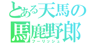 とある天馬の馬鹿野郎（フーリッシュ）