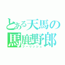 とある天馬の馬鹿野郎（フーリッシュ）