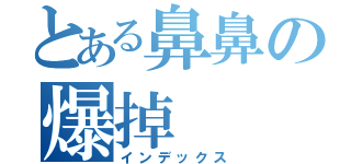 とある鼻鼻の爆掉（インデックス）